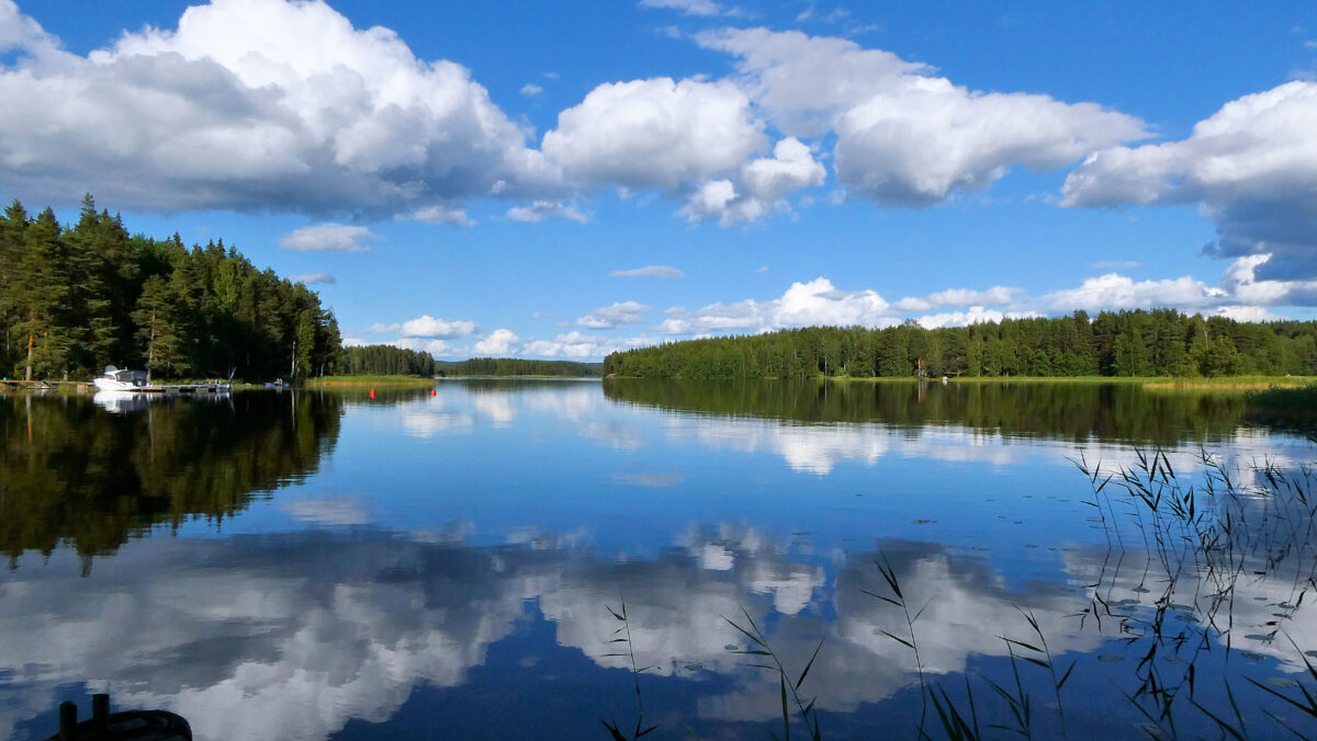 Blick auf den See