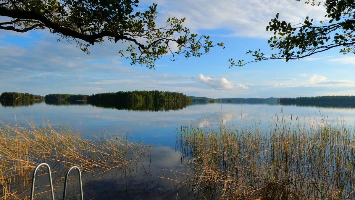 Blick von der Sauna